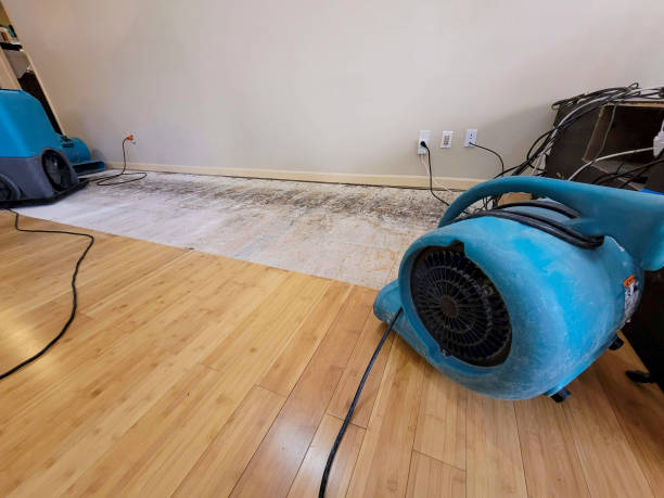 Professional Structural Drying technician working in Southport, NC